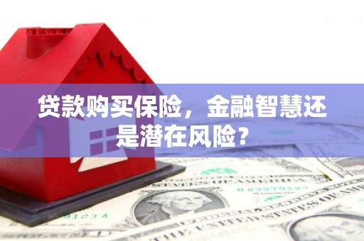 达拉特旗贷款购买保险，金融智慧还是潜在风险？