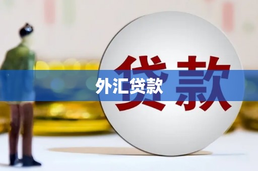 达拉特旗外汇贷款