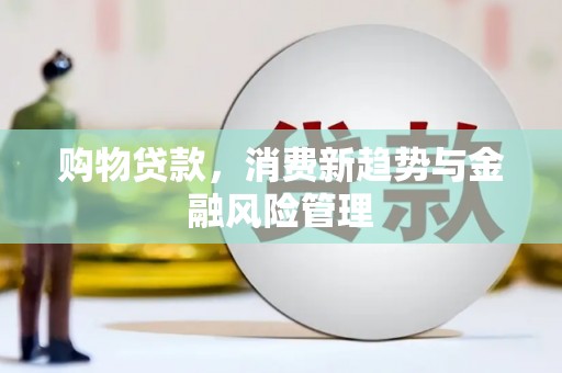 达拉特旗购物贷款，消费新趋势与金融风险管理