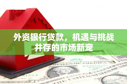 达拉特旗外资银行贷款，机遇与挑战并存的市场新宠