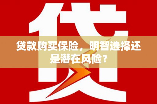 达拉特旗贷款购买保险，明智选择还是潜在风险？