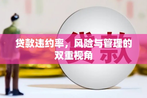 达拉特旗贷款违约率，风险与管理的双重视角