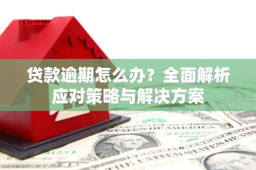 达拉特旗贷款逾期怎么办？全面解析应对策略与解决方案