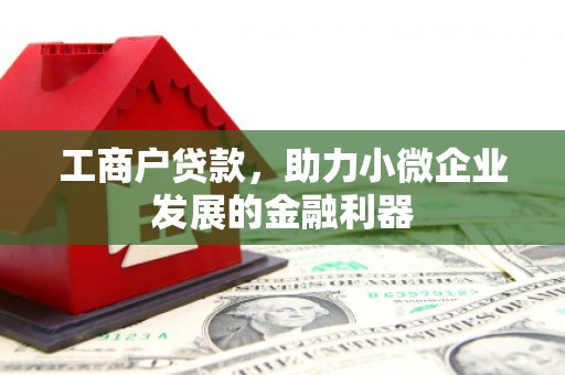 达拉特旗工商户贷款，助力小微企业发展的金融利器