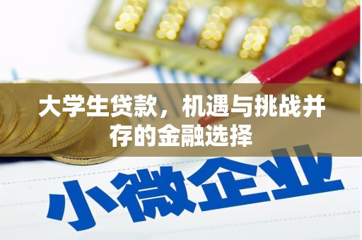 达拉特旗大学生贷款，机遇与挑战并存的金融选择