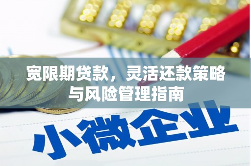 达拉特旗宽限期贷款，灵活还款策略与风险管理指南