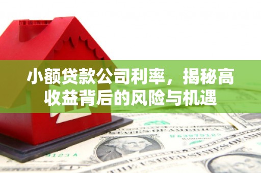 达拉特旗小额贷款公司利率，揭秘高收益背后的风险与机遇