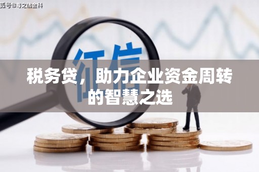 达拉特旗税务贷，助力企业资金周转的智慧之选