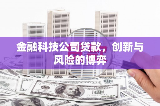达拉特旗金融科技公司贷款，创新与风险的博弈