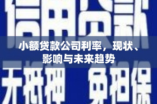 达拉特旗小额贷款公司利率，现状、影响与未来趋势