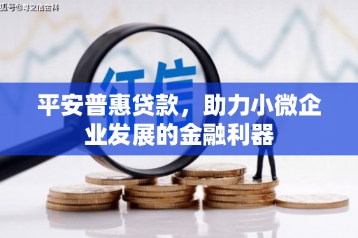 达拉特旗平安普惠贷款，助力小微企业发展的金融利器