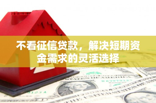 达拉特旗不看征信贷款，解决短期资金需求的灵活选择