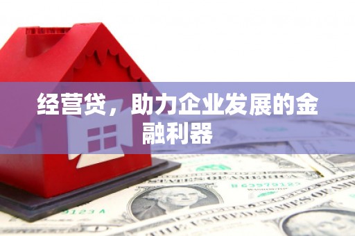 达拉特旗经营贷，助力企业发展的金融利器