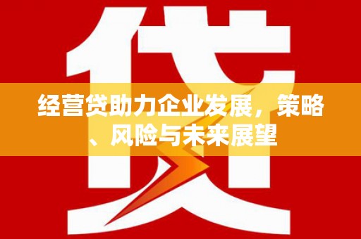 达拉特旗经营贷助力企业发展，策略、风险与未来展望