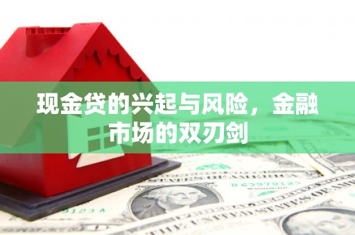 达拉特旗现金贷的兴起与风险，金融市场的双刃剑
