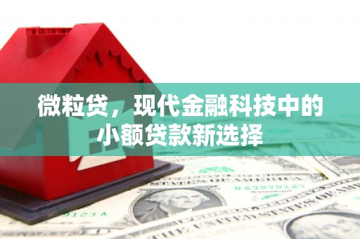 达拉特旗微粒贷，现代金融科技中的小额贷款新选择