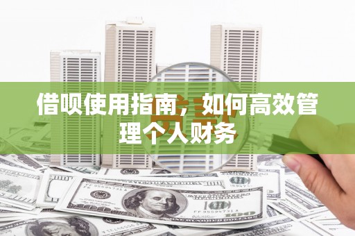 达拉特旗借呗使用指南，如何高效管理个人财务