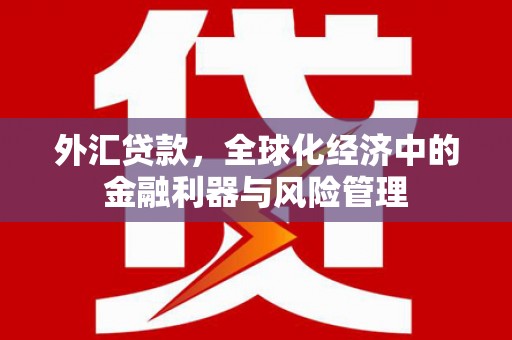 达拉特旗外汇贷款，全球化经济中的金融利器与风险管理