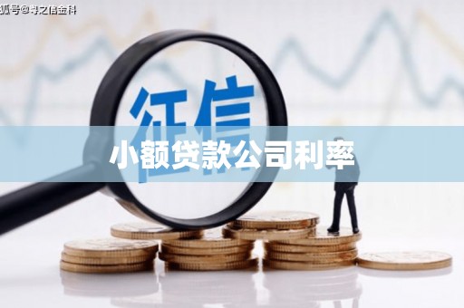 达拉特旗小额贷款公司利率