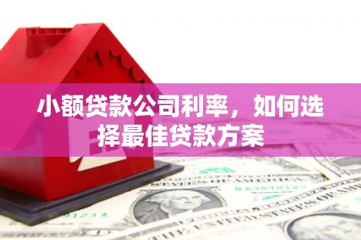 达拉特旗小额贷款公司利率，如何选择最佳贷款方案