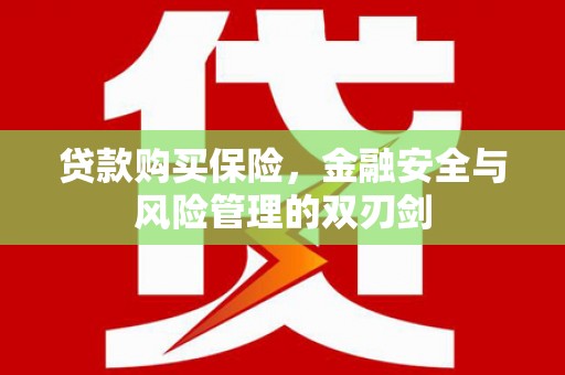 达拉特旗贷款购买保险，金融安全与风险管理的双刃剑