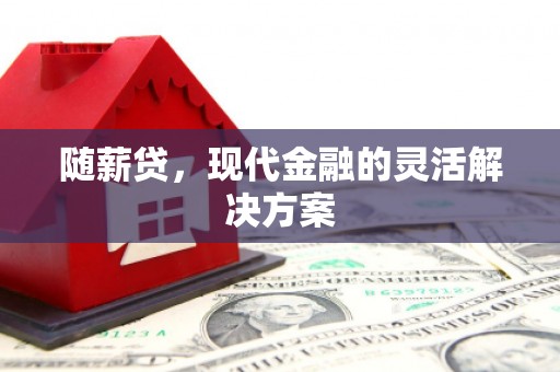 达拉特旗随薪贷，现代金融的灵活解决方案