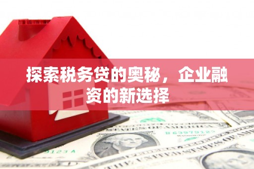 达拉特旗探索税务贷的奥秘，企业融资的新选择