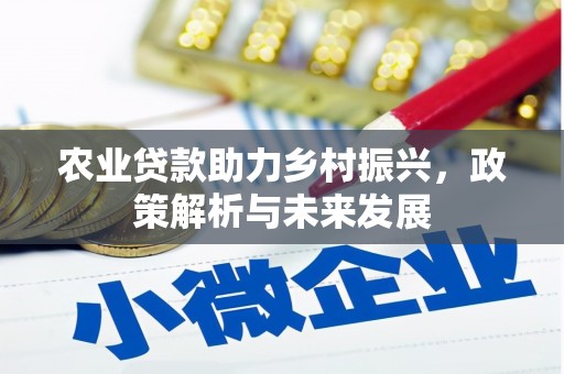 达拉特旗农业贷款助力乡村振兴，政策解析与未来发展