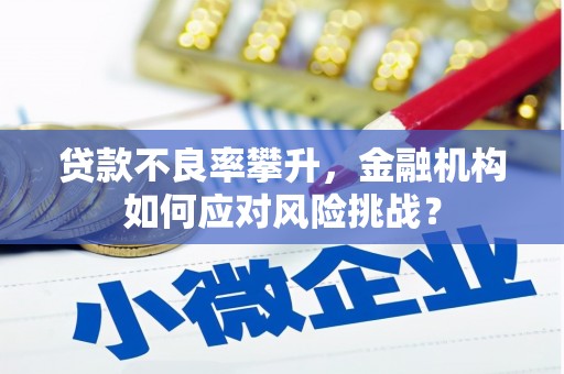 达拉特旗贷款不良率攀升，金融机构如何应对风险挑战？