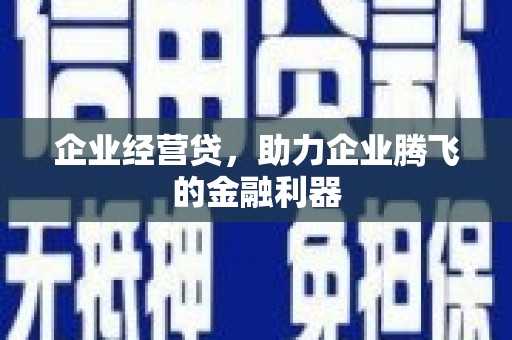 达拉特旗企业经营贷，助力企业腾飞的金融利器