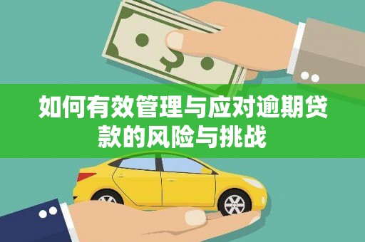 达拉特旗如何有效管理与应对逾期贷款的风险与挑战