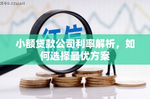 达拉特旗小额贷款公司利率解析，如何选择最优方案