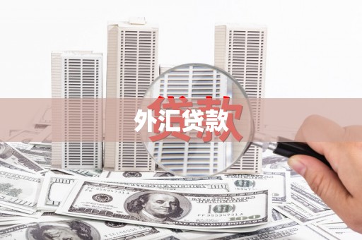 达拉特旗外汇贷款
