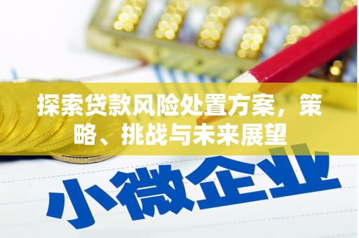 达拉特旗探索贷款风险处置方案，策略、挑战与未来展望