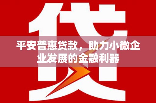 达拉特旗平安普惠贷款，助力小微企业发展的金融利器