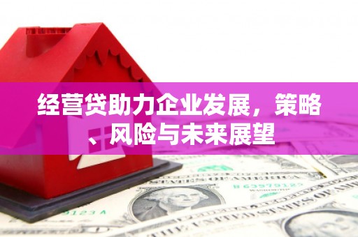 达拉特旗经营贷助力企业发展，策略、风险与未来展望