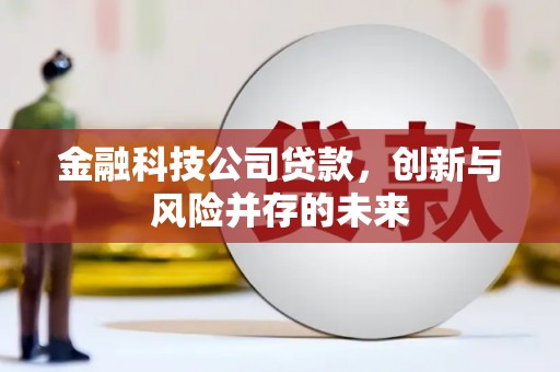 达拉特旗金融科技公司贷款，创新与风险并存的未来