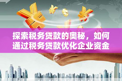 达拉特旗探索税务贷款的奥秘，如何通过税务贷款优化企业资金流