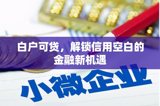 达拉特旗白户可贷，解锁信用空白的金融新机遇