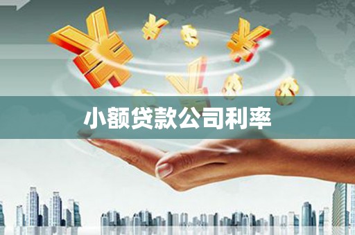 达拉特旗小额贷款公司利率