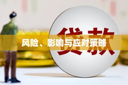 达拉特旗风险、影响与应对策略