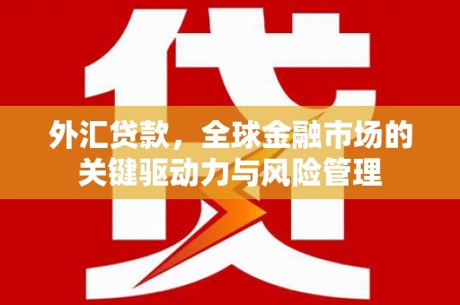 达拉特旗外汇贷款，全球金融市场的关键驱动力与风险管理