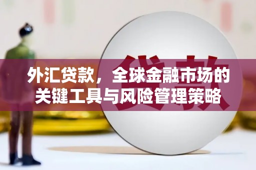 达拉特旗外汇贷款，全球金融市场的关键工具与风险管理策略