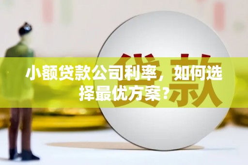 达拉特旗小额贷款公司利率，如何选择最优方案？