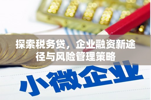 达拉特旗探索税务贷，企业融资新途径与风险管理策略