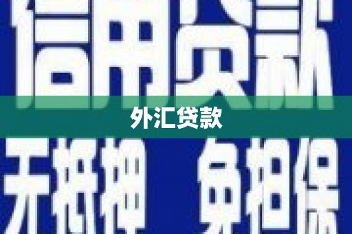 达拉特旗外汇贷款