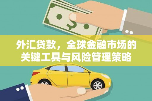 达拉特旗外汇贷款，全球金融市场的关键工具与风险管理策略