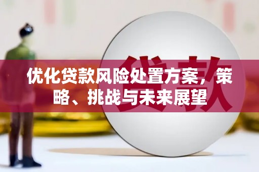 达拉特旗优化贷款风险处置方案，策略、挑战与未来展望