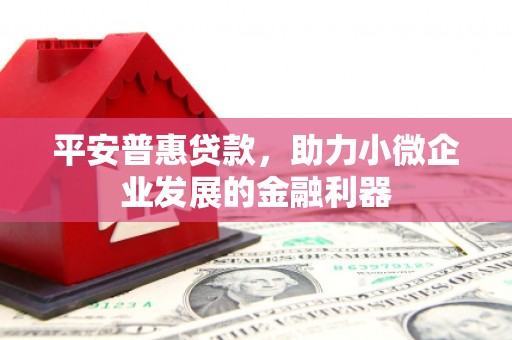 达拉特旗平安普惠贷款，助力小微企业发展的金融利器