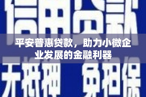 达拉特旗平安普惠贷款，助力小微企业发展的金融利器